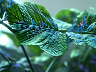 边缘钢筋检测-2